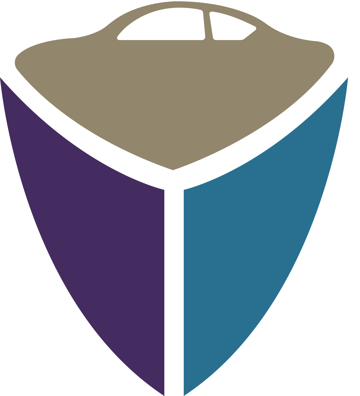 Elegant Shield